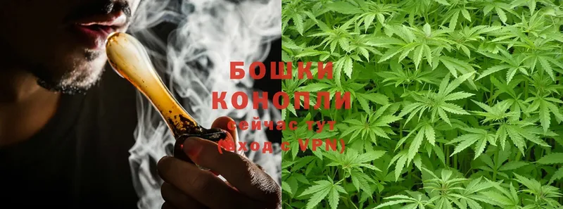 Канабис OG Kush  купить   Октябрьский 